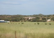 DSCF0214